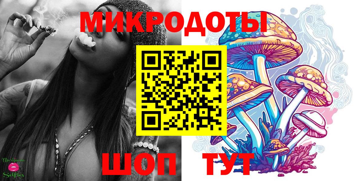 Каменка  Галлюциногенные грибы мицелий  Вход с VPN 
