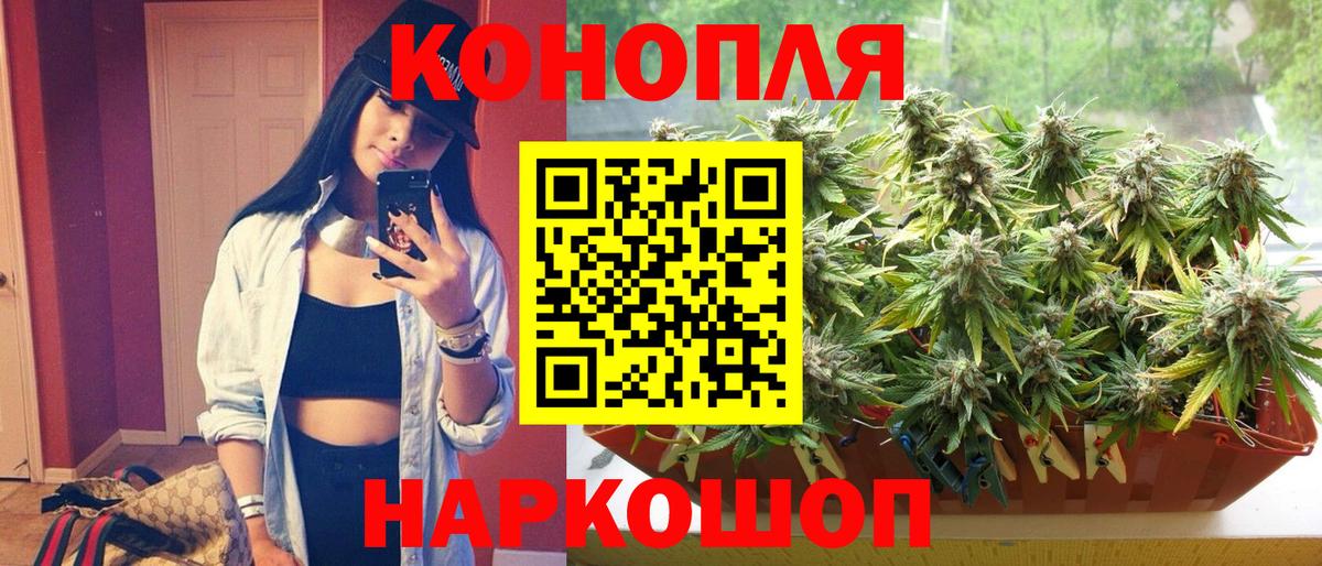 МАРИХУАНА план Каменка